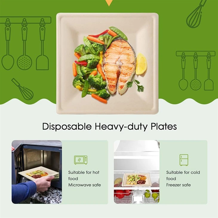 10 inch heavy-duty sugarcane fiber plates