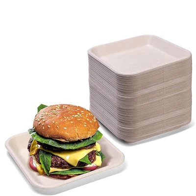 Plats de paper de rebuig de canya de sucre