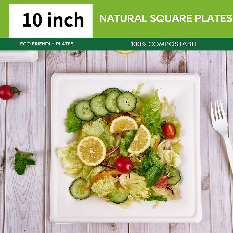 sugarcane 10inch plates